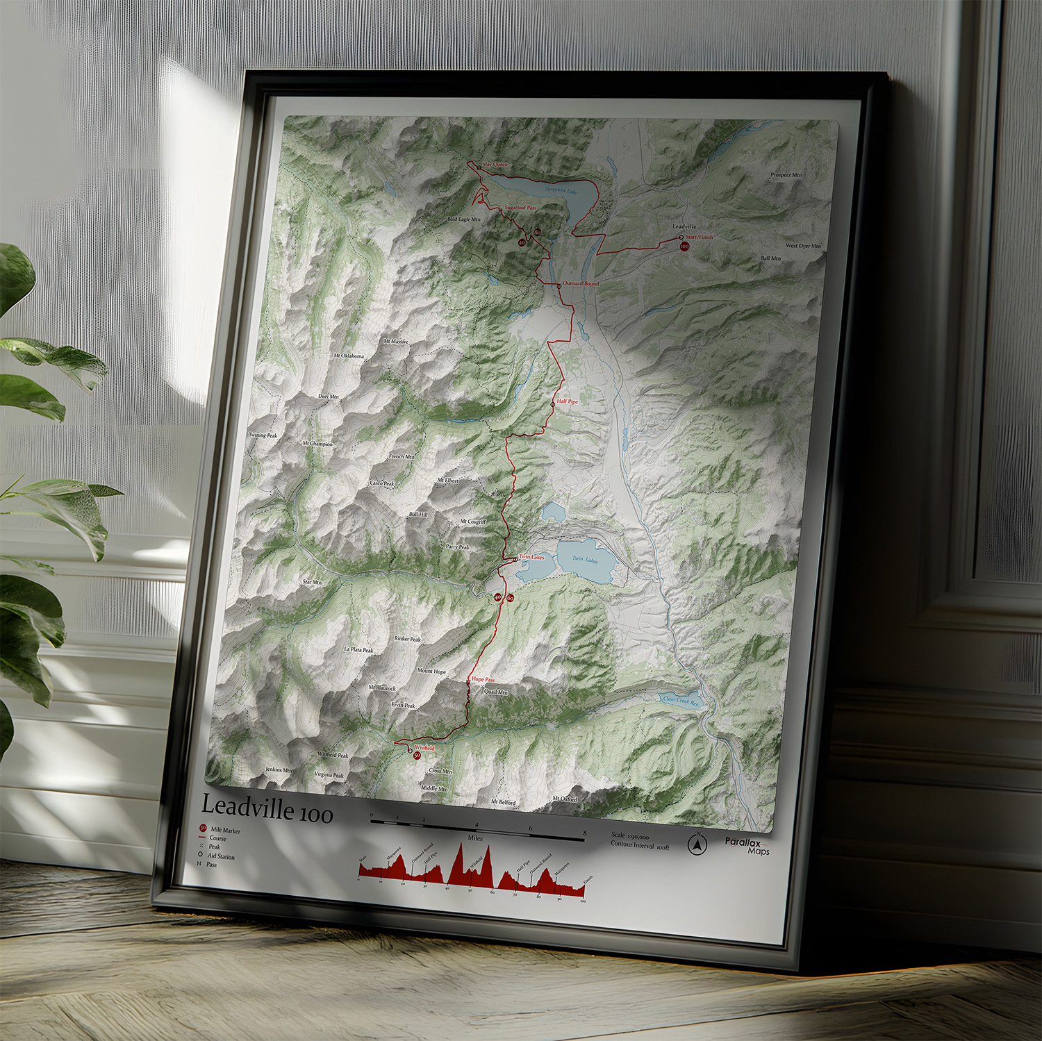 Leadville 100 map poster